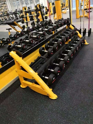 Αλτήρας 2 ράφι 80kg ικανότητας λεσχών γυμναστικής μυών άσκησης αλτήρων σειρών