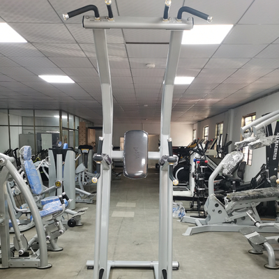 Πηγούνι ικανότητας Bodybuilding επάνω στον κατάλληλο ODM cOem μηχανών σώματος φραγμών