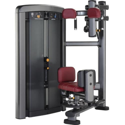 Bodybuilding νέα ζωής ικανότητας εξοπλισμού ωοειδής μηχανή άσκησης κορμών σωλήνων περιστροφική